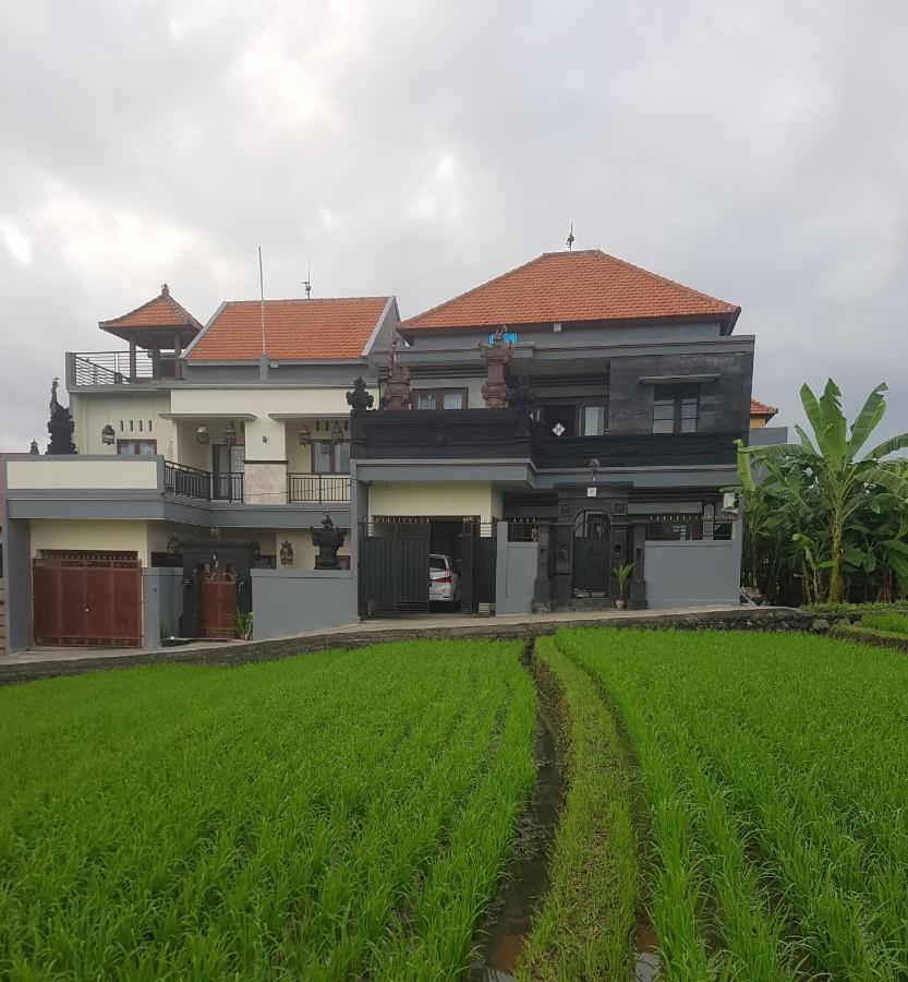 Yogi Homestay 坎古 外观 照片